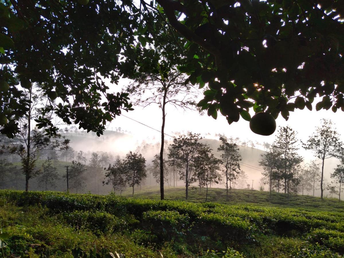 Tea Tours Ripon Heritage Bungalow Meppadi Ngoại thất bức ảnh