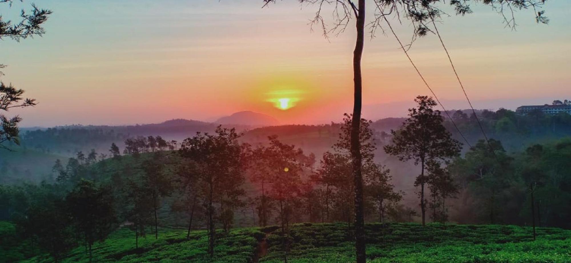 Tea Tours Ripon Heritage Bungalow Meppadi Ngoại thất bức ảnh