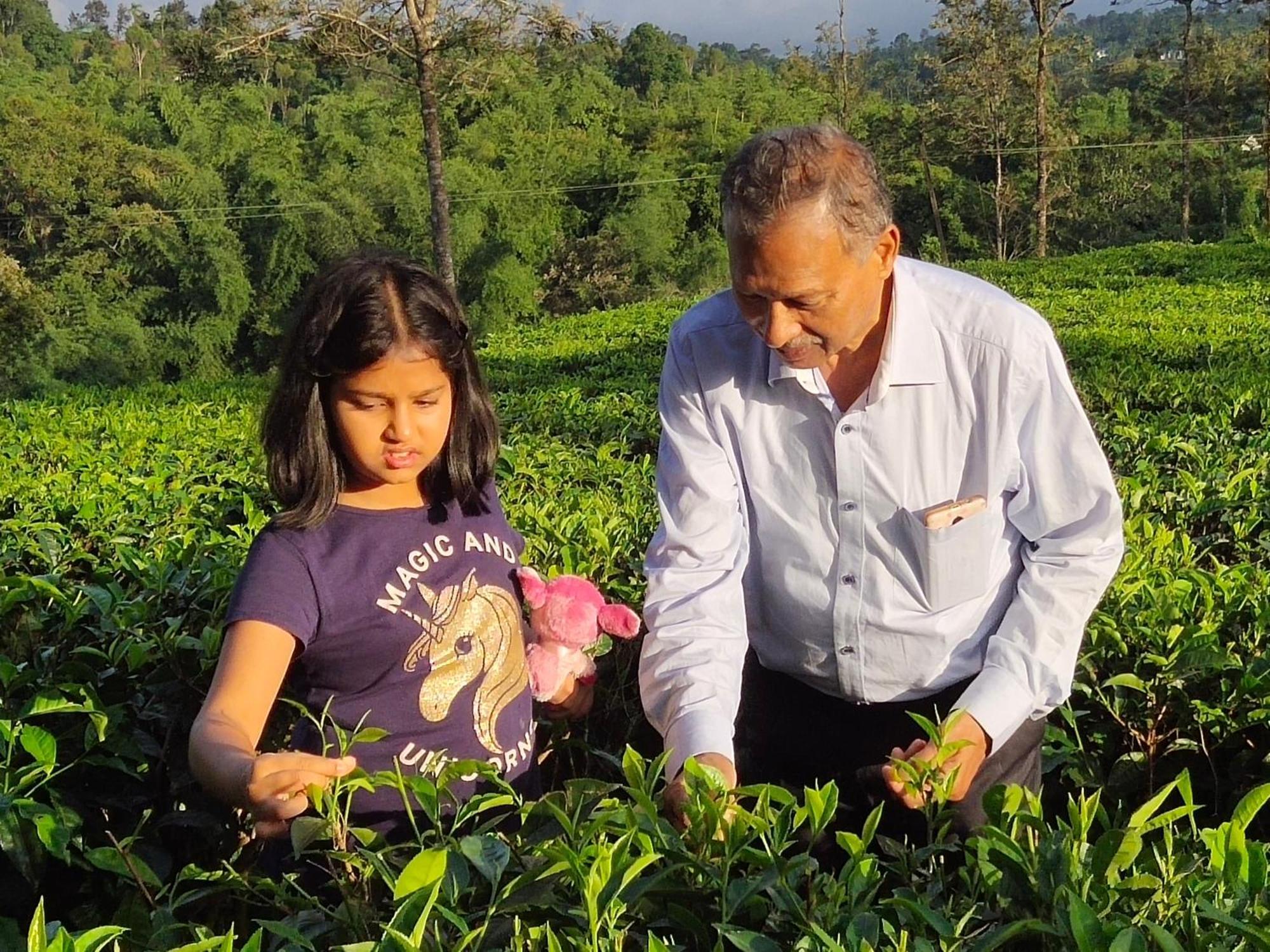 Tea Tours Ripon Heritage Bungalow Meppadi Ngoại thất bức ảnh