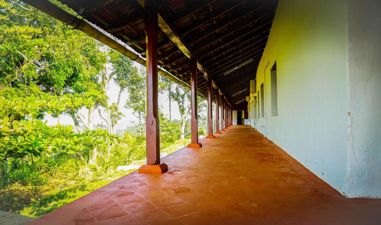 Tea Tours Ripon Heritage Bungalow Meppadi Ngoại thất bức ảnh