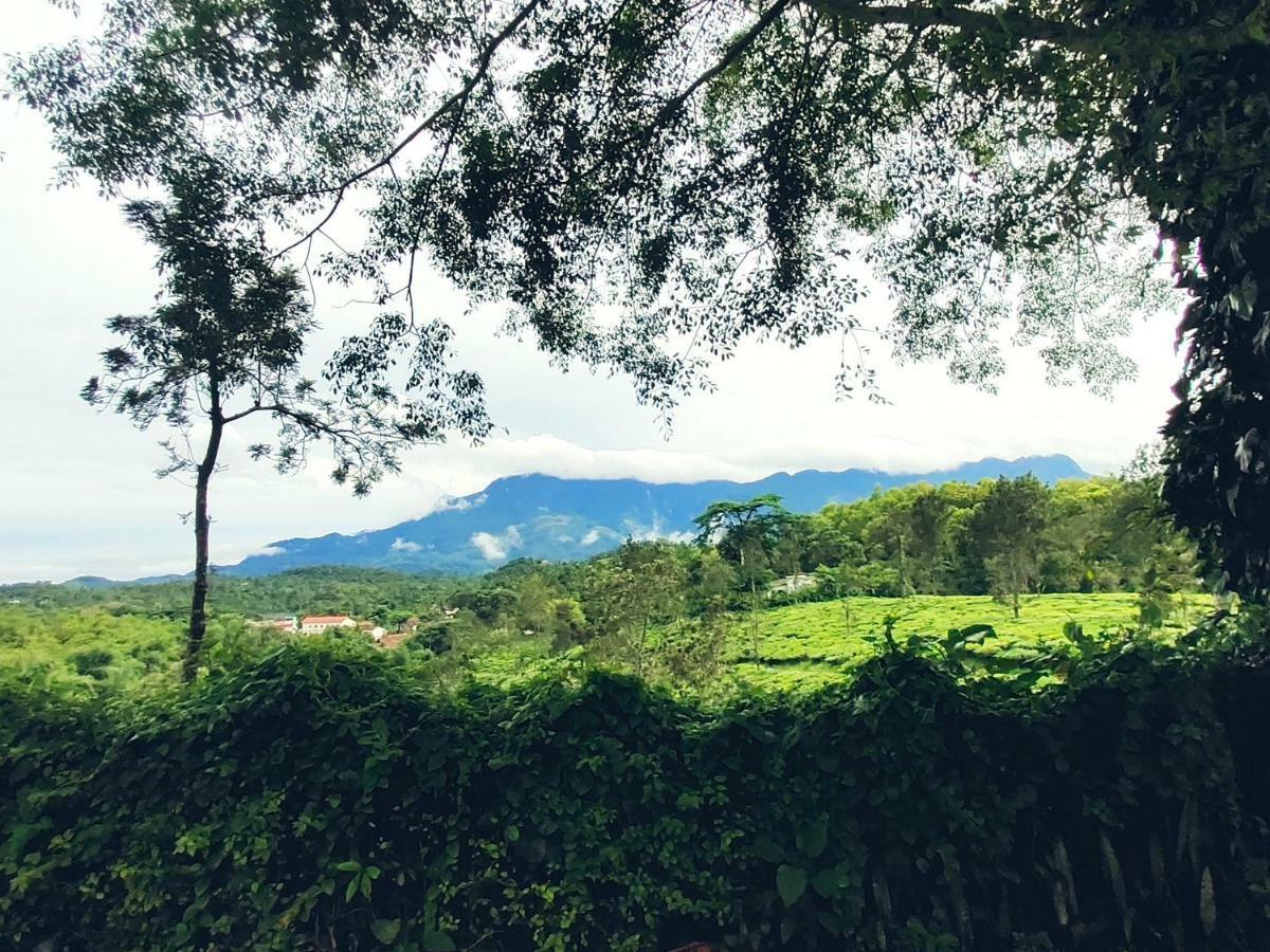 Tea Tours Ripon Heritage Bungalow Meppadi Ngoại thất bức ảnh